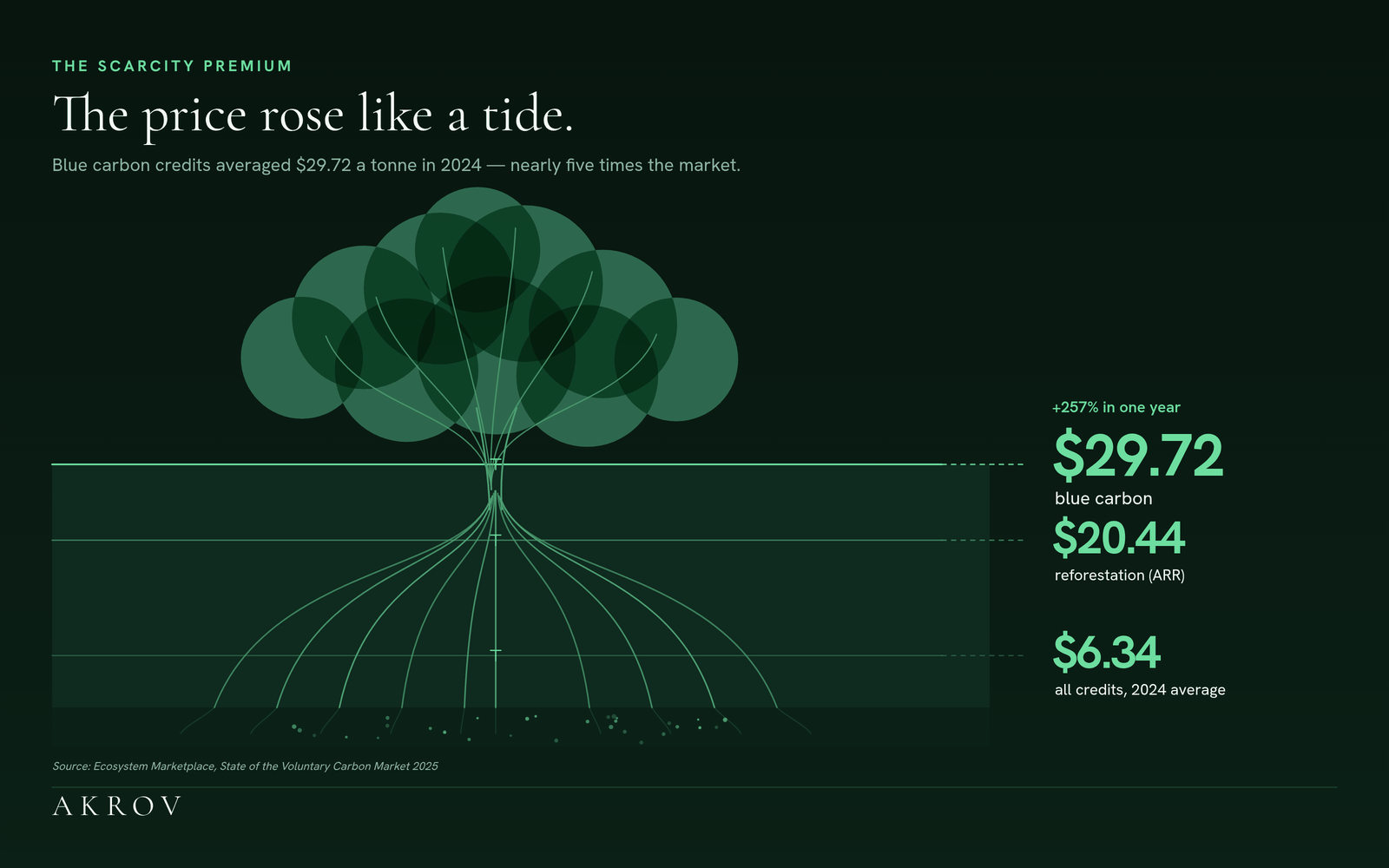 Illustration: a line-drawn mangrove with three tide lines rising up its trunk and roots, marked $6.34 for all credits, $20.44 for reforestation and $29.72 for blue carbon, the top line labelled +257% in one year